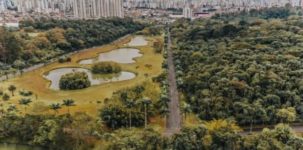 三月在紐約的十大活動