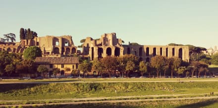 Circus Maximus in Rome: Tickets and Tours