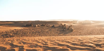 5 Utflykter till Zagoraöknen i Marocko från Marrakech