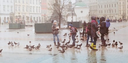 11 Bästa saker att göra i Krakow med barn