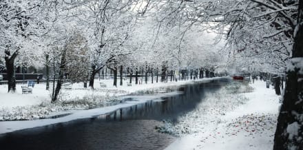 10 Things to Do in Dublin in the Winter