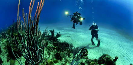 Diving in Menorca