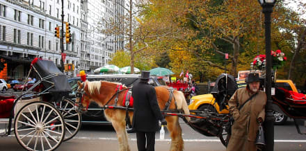 中央公園最佳三次馬車遊覽