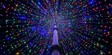 10 Things to Do in Charleston in December