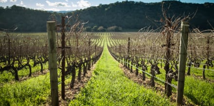 5 Best Day Trips to Napa from San Francisco