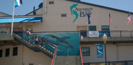 三藩市水族館門票