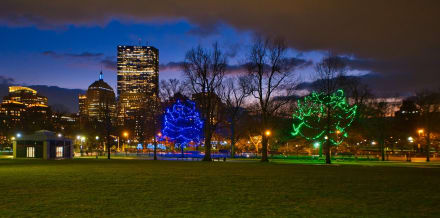 10 Things to Do in Boston in Winter