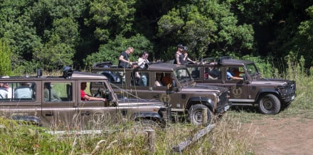 5 Najlepszych safari na Maderze z Funchal