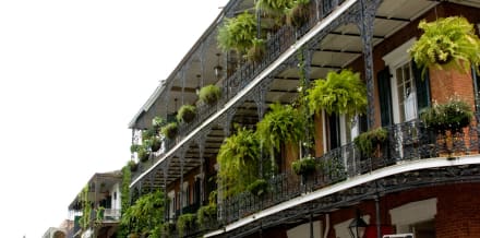 10 Things to Do in New Orleans in Fall