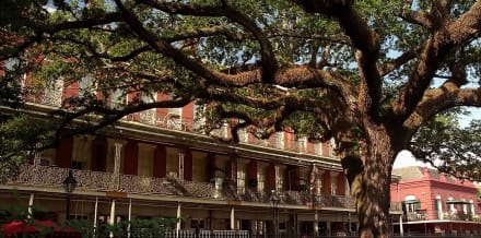 10 Things to Do in New Orleans in August