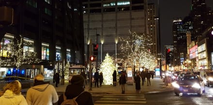 12 Things to Do in Chicago in December