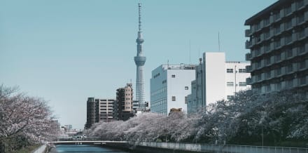 東京十大最佳旅遊團