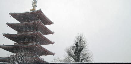 Ocak Ayında Tokyo'da Yapılacak 10 Şey