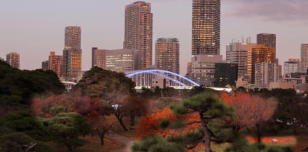 10月在東京可以做的10件事