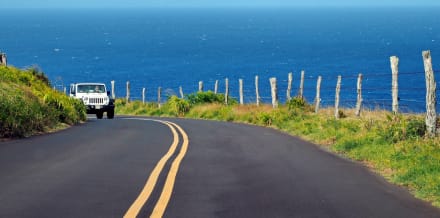 毛伊島吉普車之旅