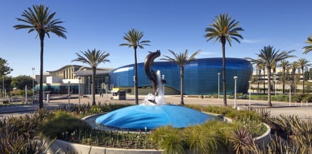 Long Beach Aquarium in Los Angeles Tickets