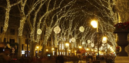 14 Things to Do in Mallorca in December