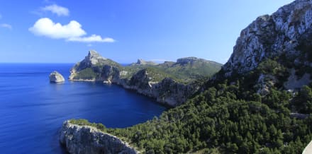 10 Things to Do in Mallorca in February