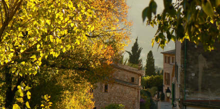 10 Things to Do in Mallorca in November