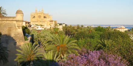 10 Things to Do in Mallorca in September