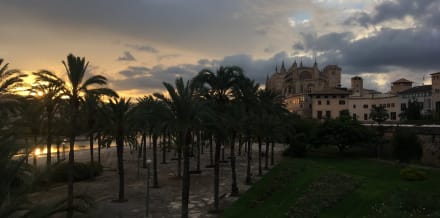 Mallorca in 1 Day: all you need to know