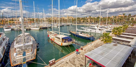 Mallorca in 4 Days: a guidebook for getting the most out of your visit