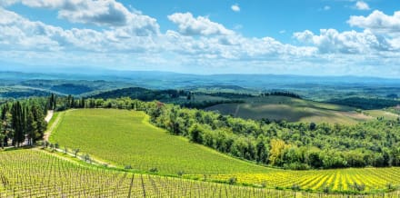 7 Bästa dagsutflykter till Chianti från Florens