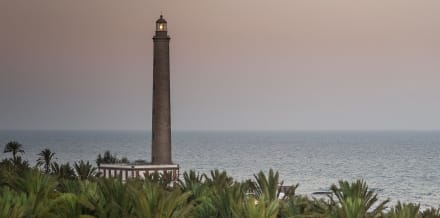 大加那利島三天遊：讓您充分利用旅程的指南