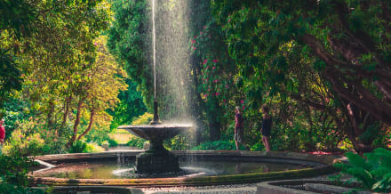 5 Best Garden District Tours in New Orleans