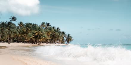 Las 10 cosas que ver y hacer en Playa del Carmen