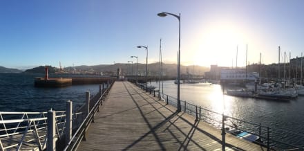 Los 5 mejores tours de Vigo