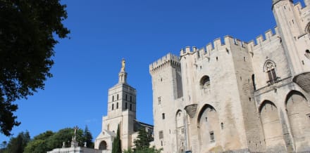 Avignon in 2 Days: everything you need to know