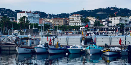 6 Best Cruises and Boat Tours in Cannes