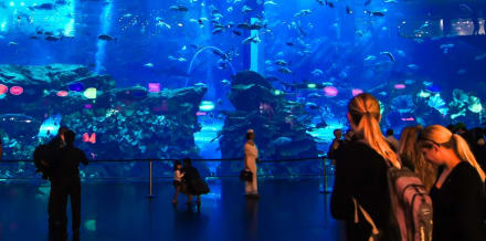 杜拜水族館門票