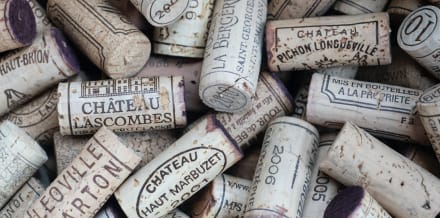 Las 7 mejores tours del vino en Burdeos