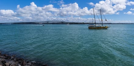 10 Things to Do in Auckland in July