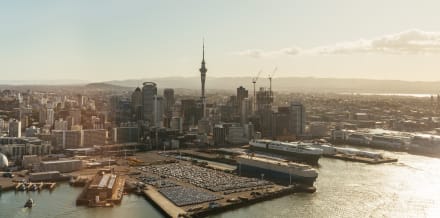 10 Things to Do in Auckland in February