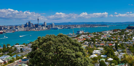 I 8 migliori tour di Auckland
