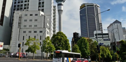 Autobus turistici di Auckland