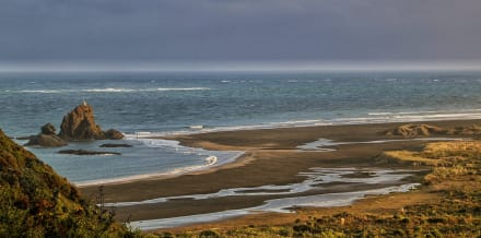 10 Things to Do in Auckland in Winter