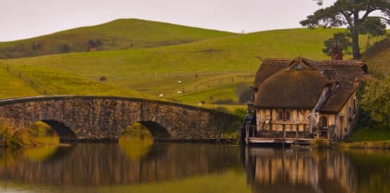 I 4 migliori tour di Hobbiton ad Auckland