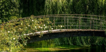 Monet's House and Gardens in Giverny Tickets and Tours