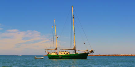 The 7 Best Boat Trips in Portimao