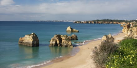 10 Things to Do in Portimão