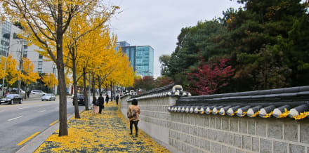 10 Things to Do in Seoul in November