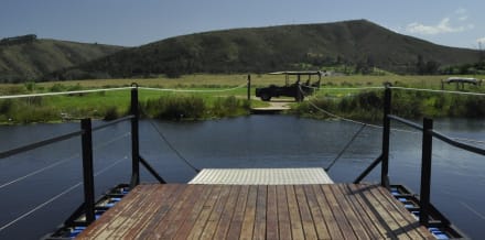 The 10 Best Safaris in Cape Town