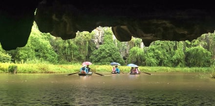 河內六大最佳遊船和郵輪之旅