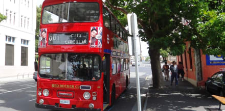 Hobart Açık Otobüs Turları
