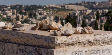Le 6 migliori escursioni da Gerusalemme