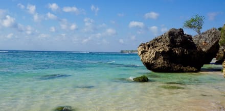 10 cose da vedere e fare a Bali in estate